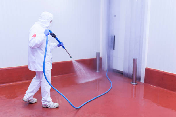 Best Graffiti Removal Services in Hughes Springs, TX